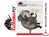 kaziranga-brochure-download-homepage